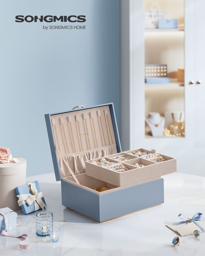 Jewelry Box Organizer - 2 Layer - With Handle And Removable Tray