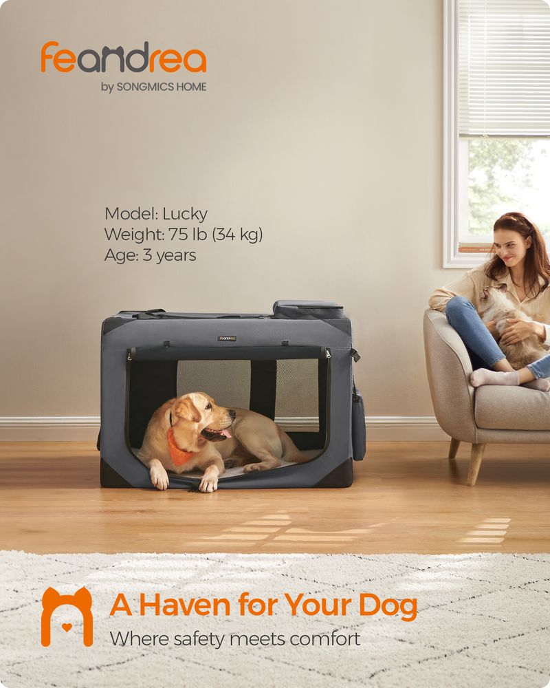 Dog Carrier Soft Sided Foldable Pet Travel Crate With Mesh Windows
