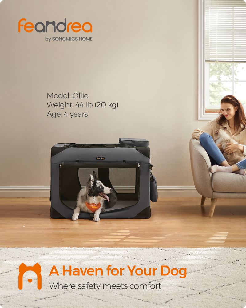 Dog Carrier Soft Sided Foldable Pet Travel Crate With Mesh Windows