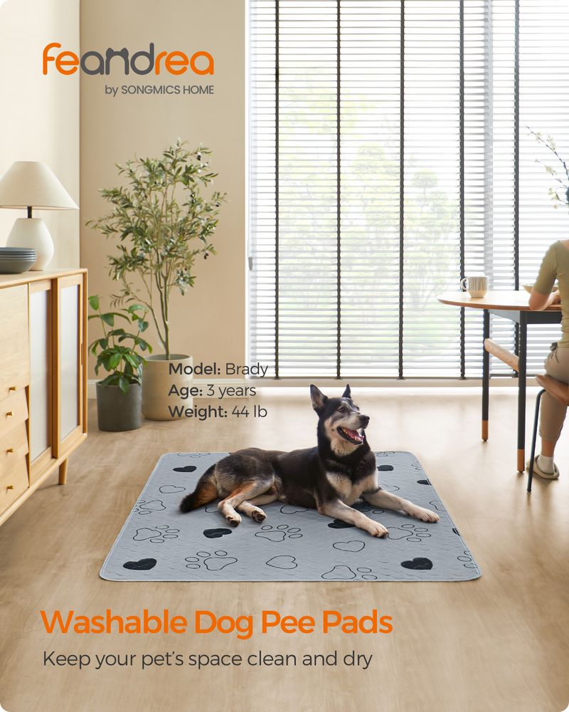 Washable Dog Pee Pads 2 Pack Reusable Training Pads Waterproof