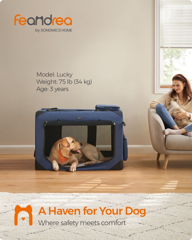 Dog Carrier Soft Sided Foldable Pet Travel Crate With Mesh Windows
